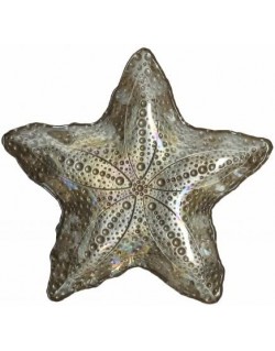 PLATO NACARADO ESTRELLA MARINA CHAMPAGNE