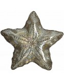 PLATO NACARADO ESTRELLA MARINA CHAMPAGNE