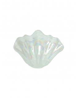 BOWL NACAR PERLA 28X20 MOD: CONCHA