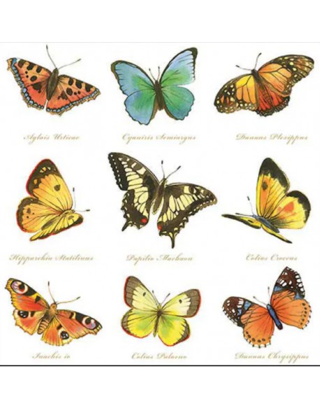 SERVILLETAS DE COMIDA MOD: COLECCION DE MARIPOSAS