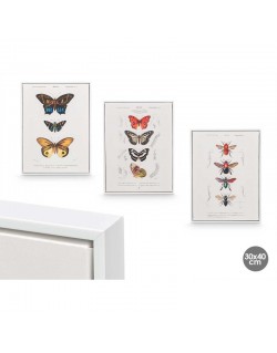 CUADRO LIENZO MARCO BLANCO MARIPOSAS