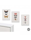 CUADRO LIENZO MARCO BLANCO MARIPOSAS