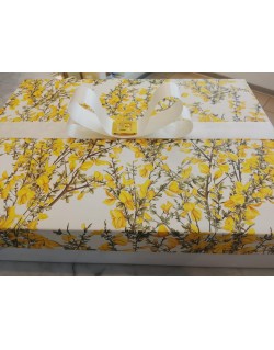 CAJA DE 25CM X 25CM + 8CM